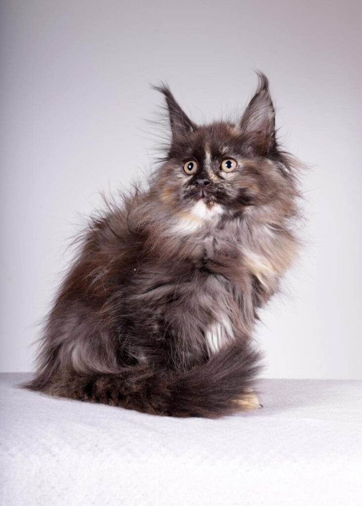 Photo 2026 04 07 18 43 40 2