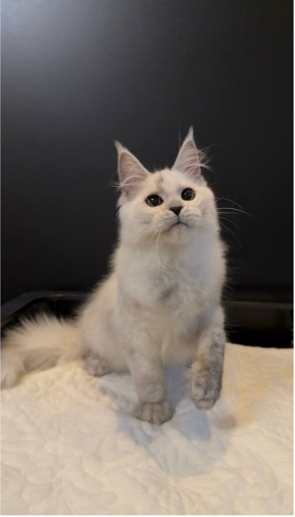 Photo 2026 04 07 18 50 06