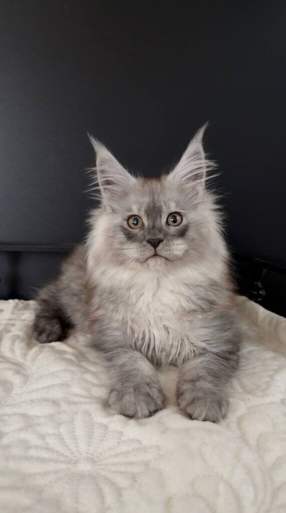 Photo 2026 04 07 22 45 52