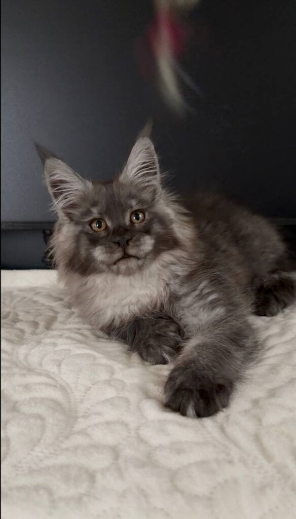 Photo 2026 04 07 23 03 33