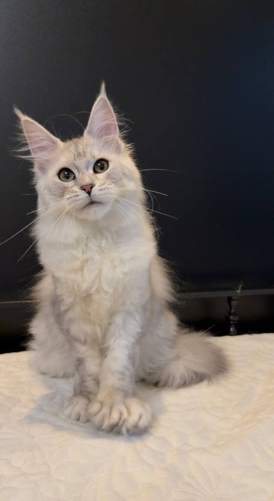 Photo 2026 04 07 23 15 25 1