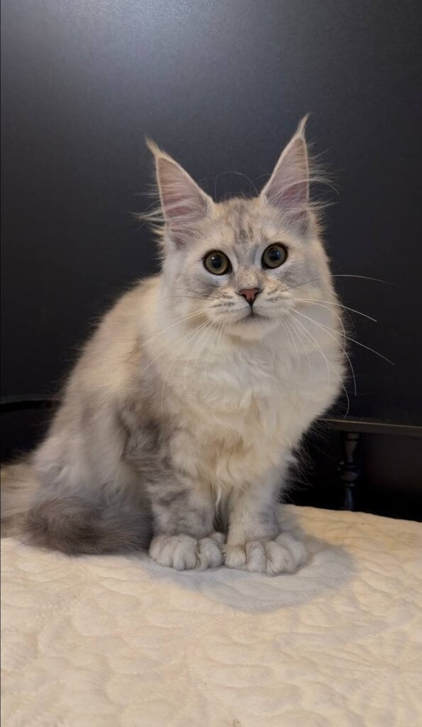 Photo 2026 04 07 23 15 25