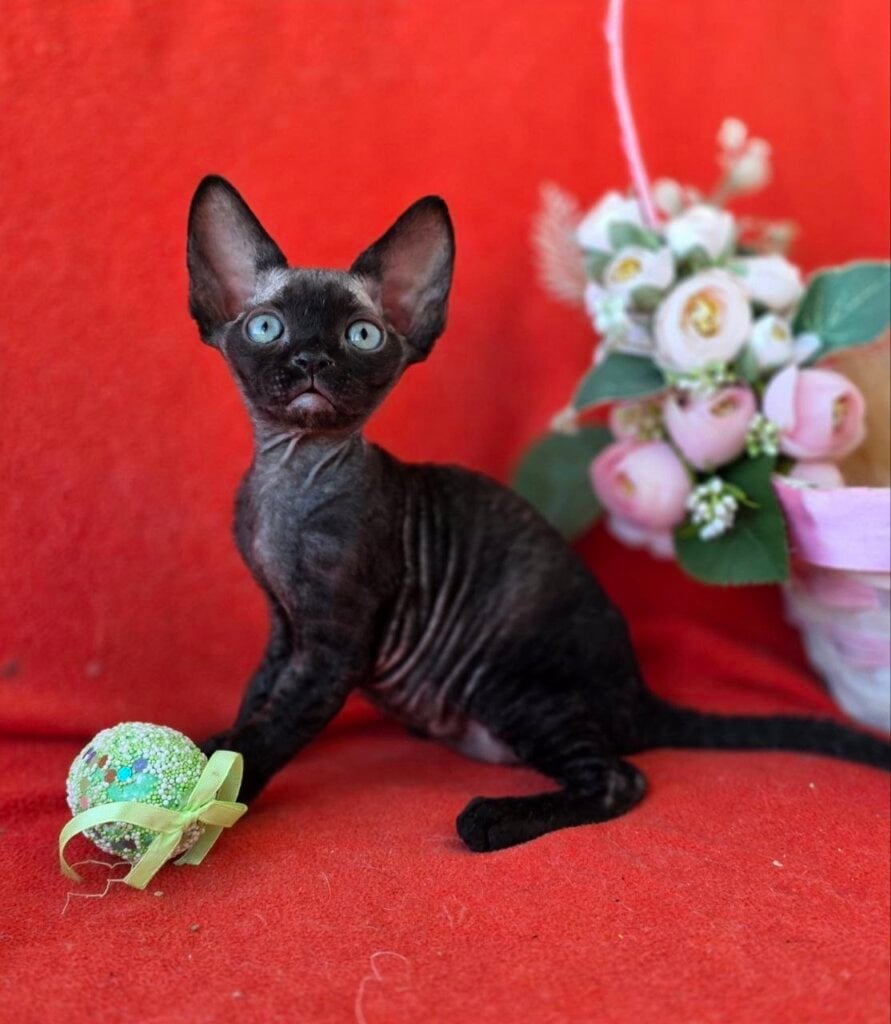 Photo 2026 04 08 00 33 11 2