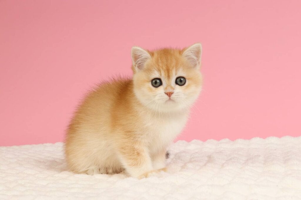 Photo 2026 04 08 08 15 33