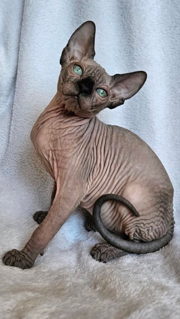 Photo 2026 04 08 12 36 39