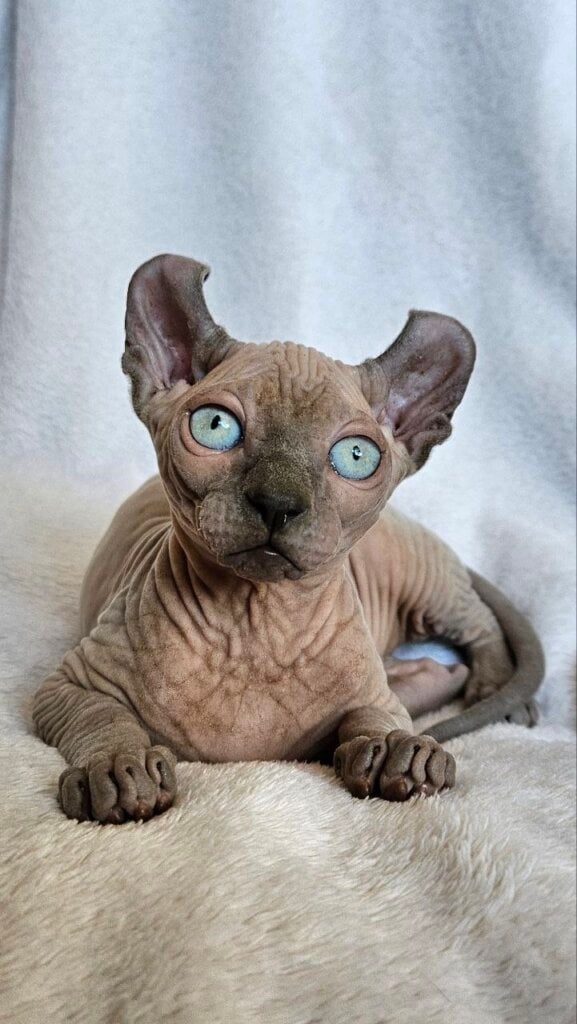 Photo 2026 04 08 12 38 18