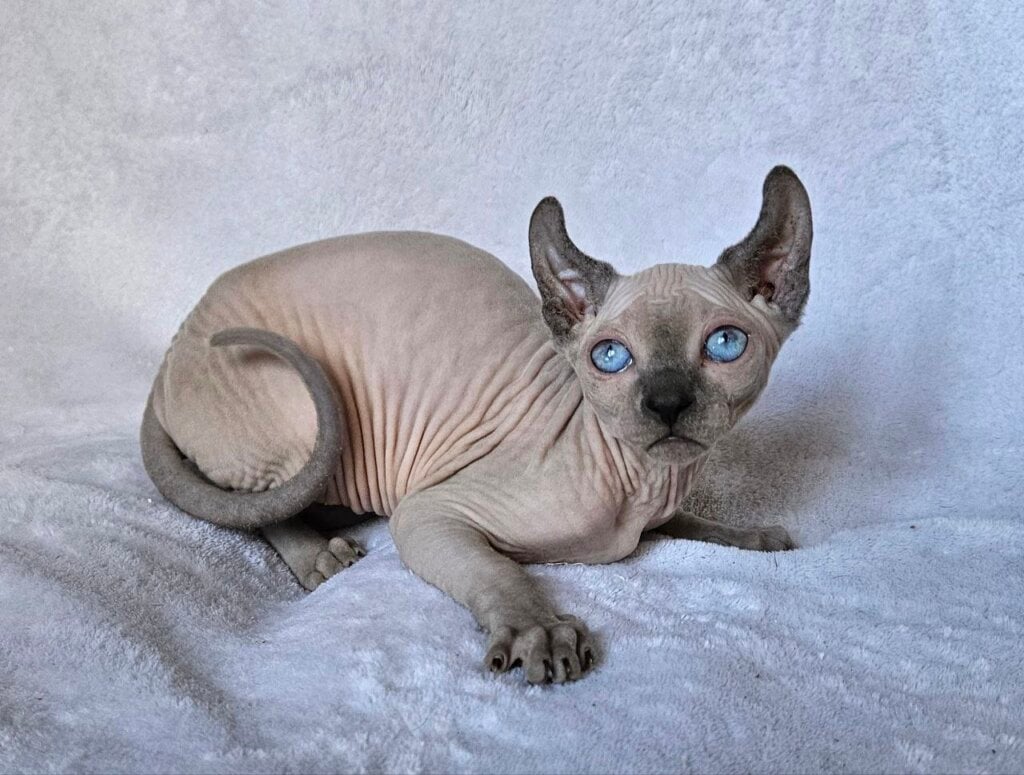 Photo 2026 04 08 12 44 58