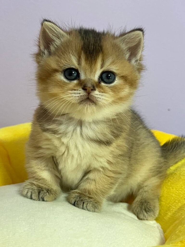 Photo 2026 04 09 17 08 43