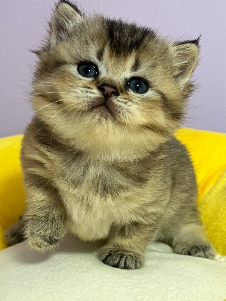 Photo 2026 04 09 17 20 09