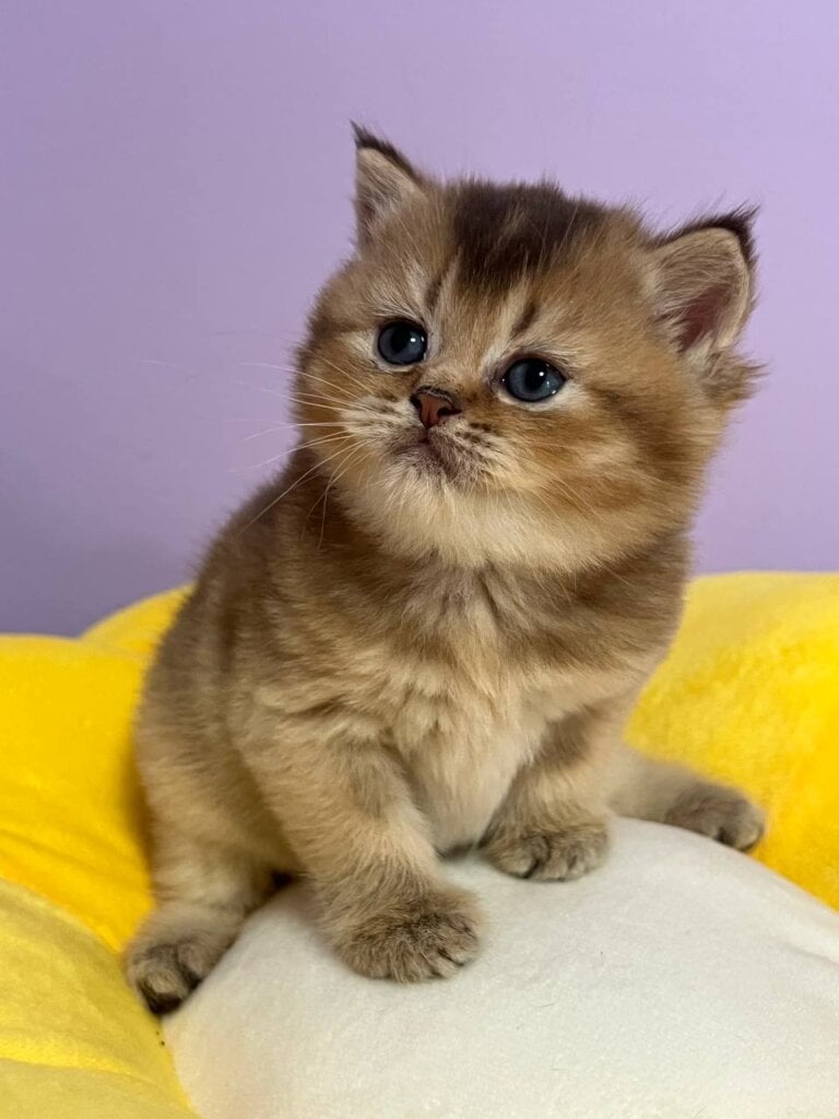 Photo 2026 04 09 17 23 05 2