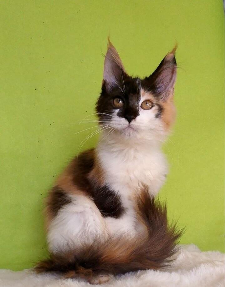 Photo 2026 04 09 21 29 11