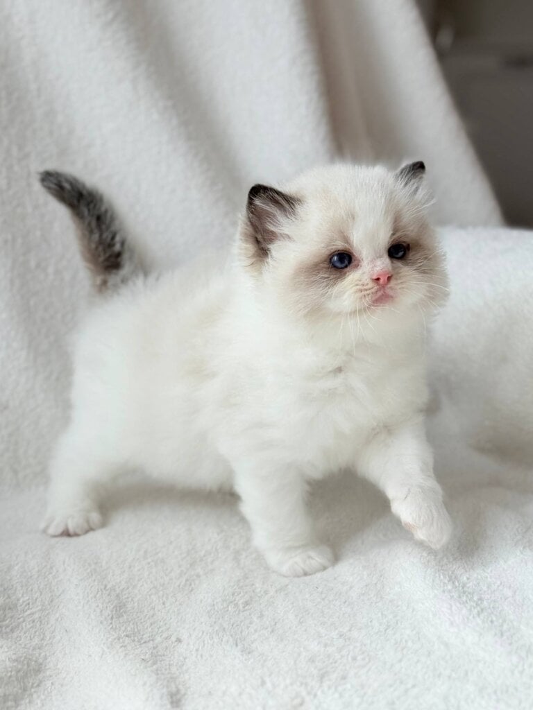 Photo 2026 04 09 22 40 19