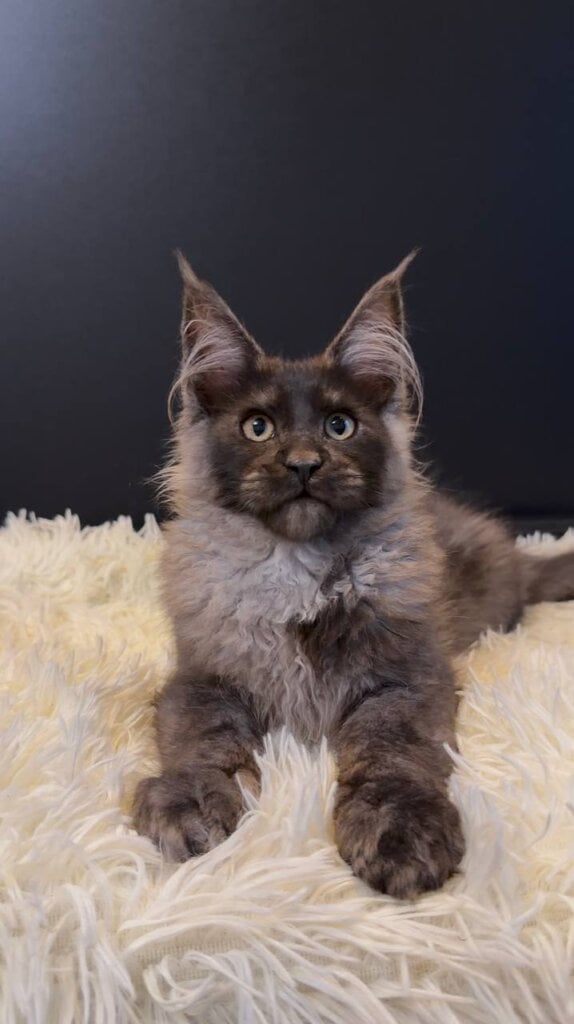 Photo 2026 04 10 00 43 05