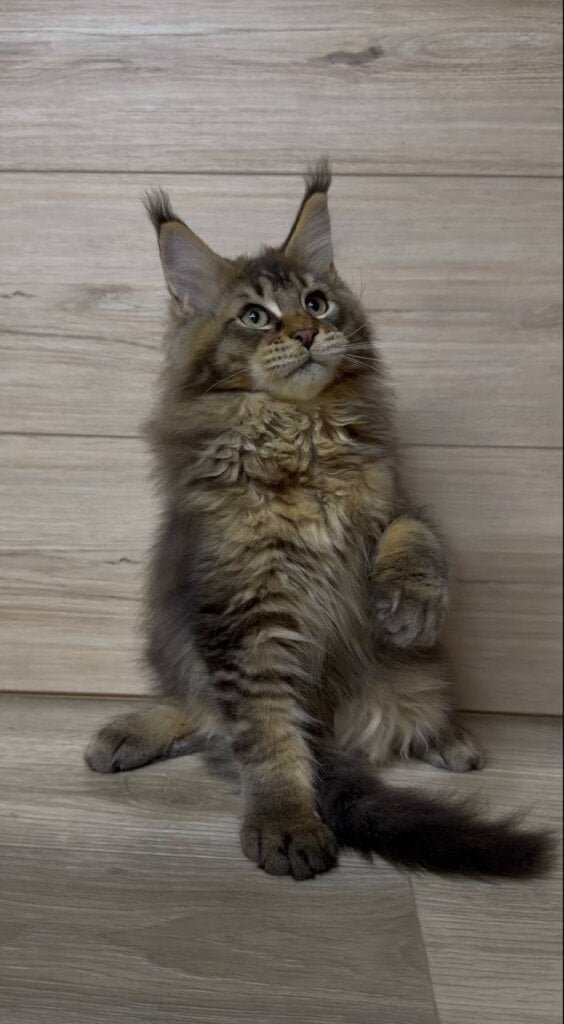 Photo 2026 04 10 01 02 57