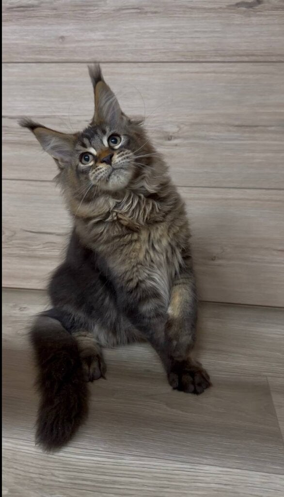 Photo 2026 04 10 01 17 18