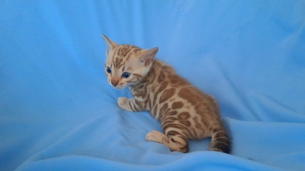 Photo 2026 04 10 11 09 22