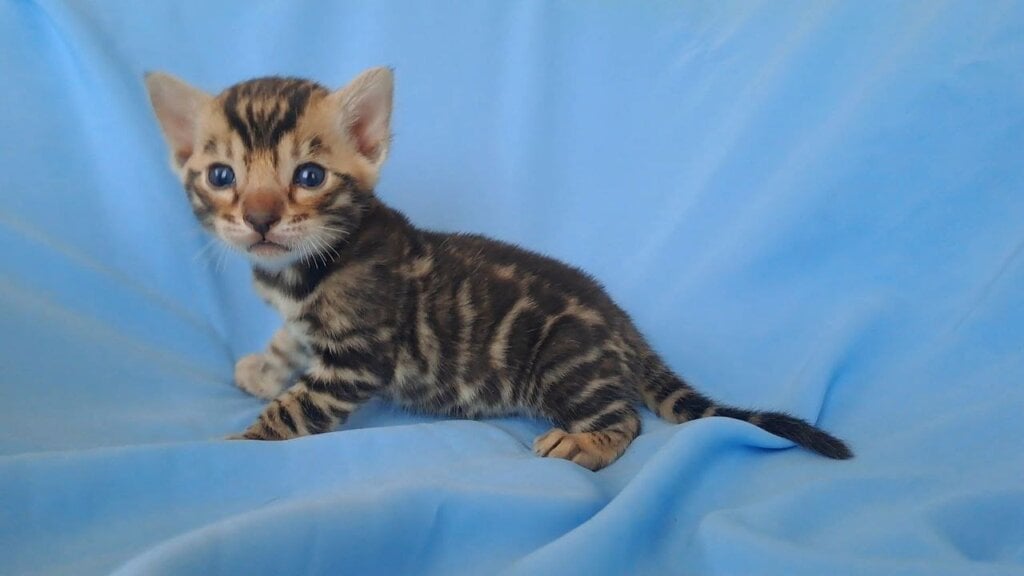 Photo 2026 04 10 11 11 33