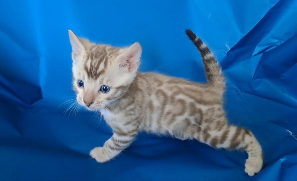 Photo 2026 04 10 11 12 20