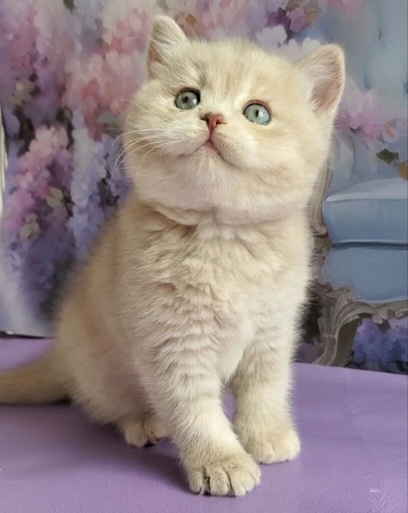 Photo 2026 04 10 13 08 53