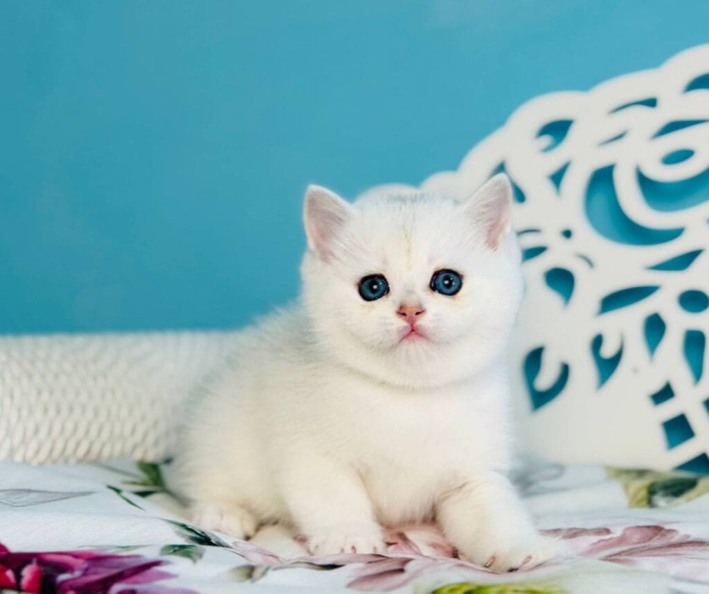 Photo 2026 04 10 15 37 51 2