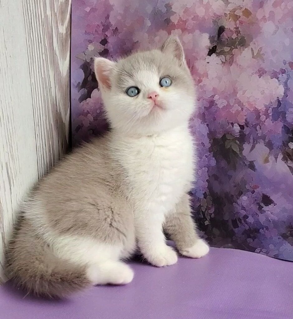 Photo 2026 04 10 16 09 10