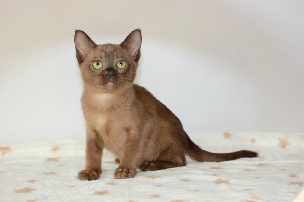 Photo 2026 04 10 20 29 04 3