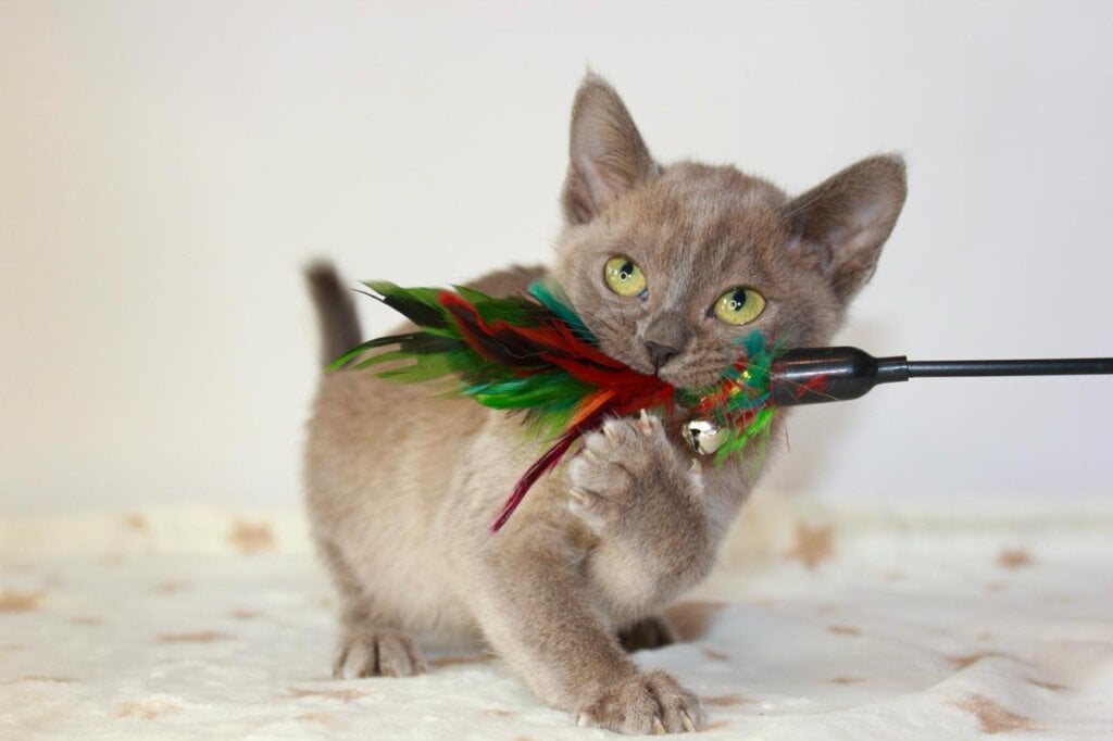 Photo 2026 04 10 20 30 21