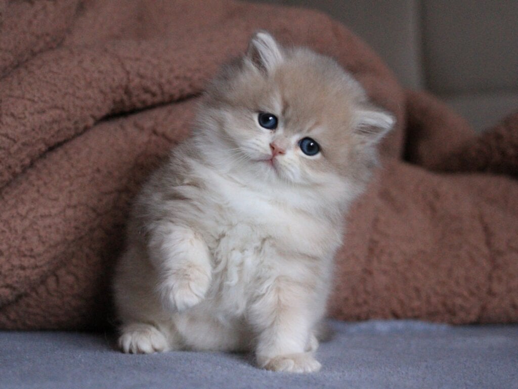 Photo 2026 04 12 16 24 01 5