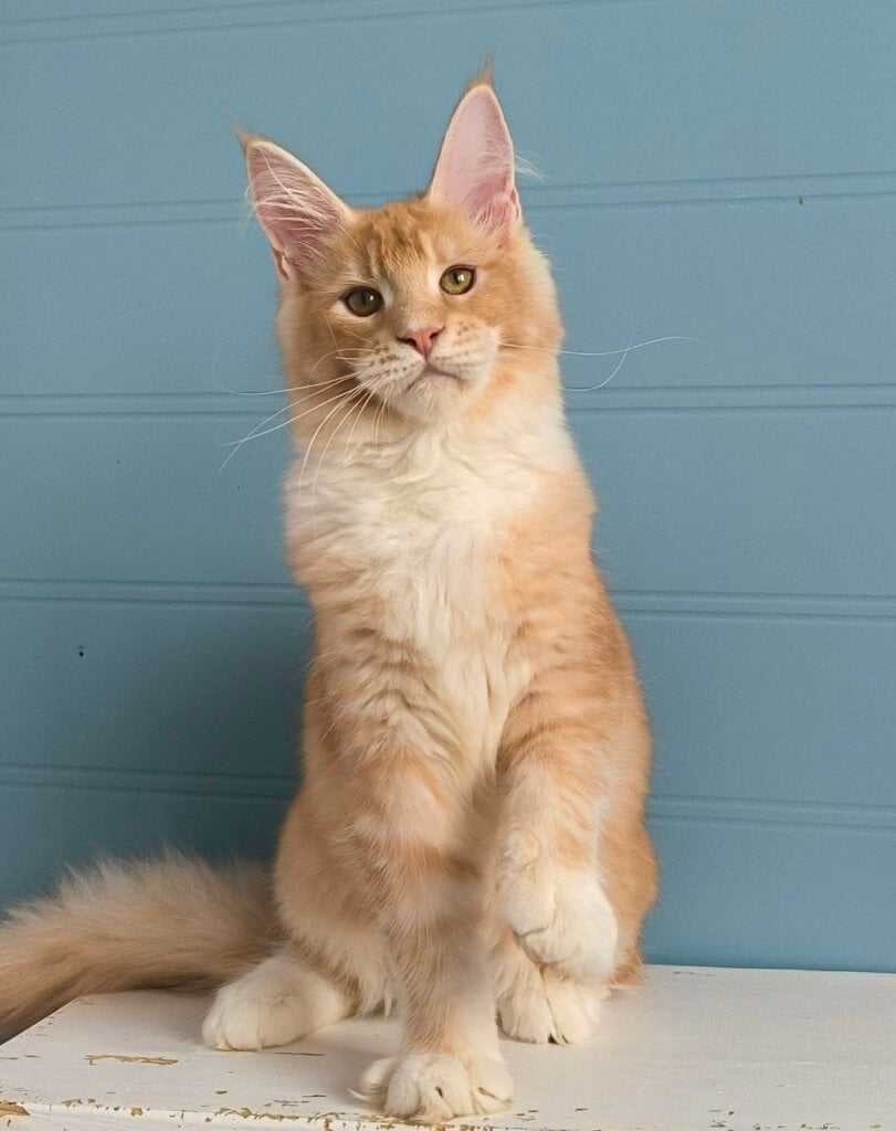 Photo 2026 04 13 10 27 56