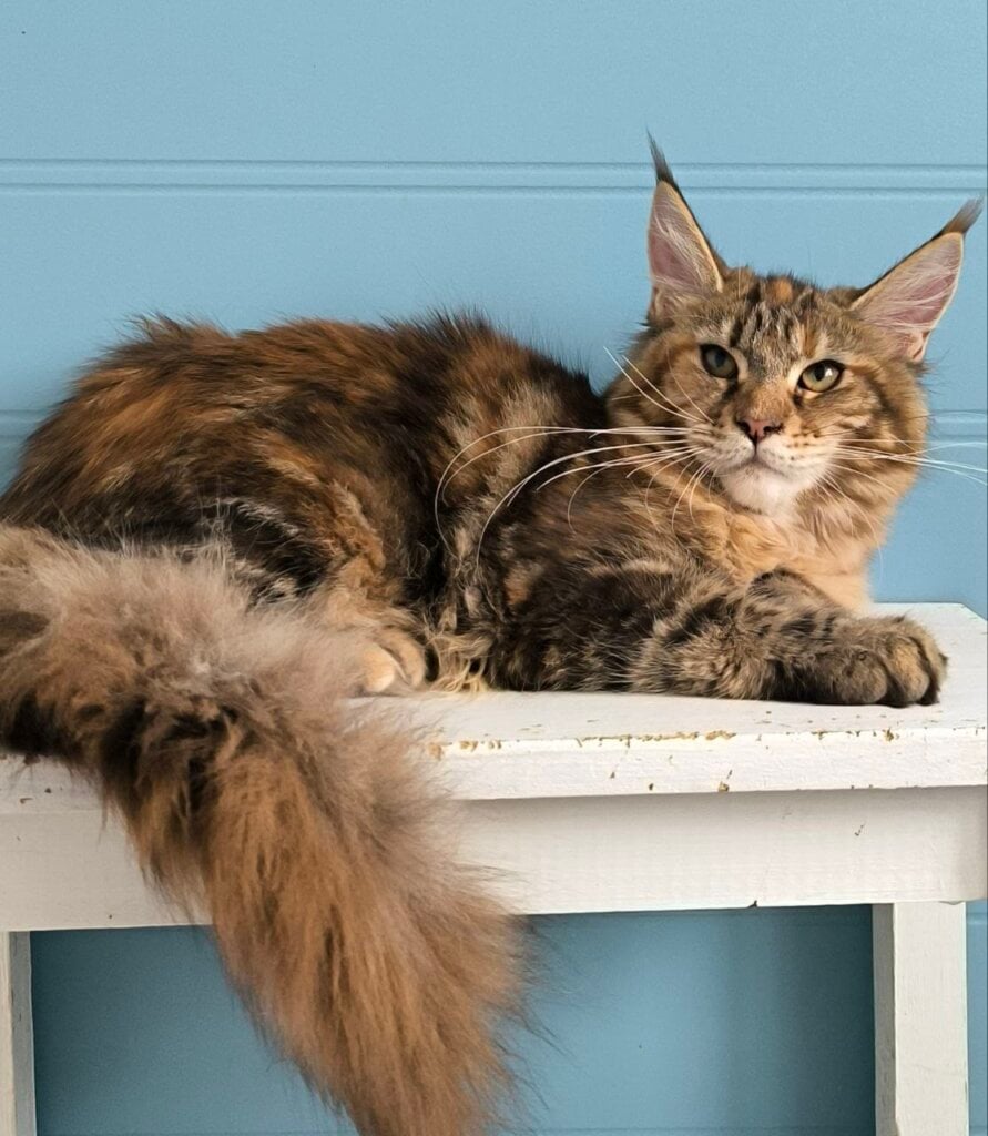 Photo 2026 04 13 10 30 21