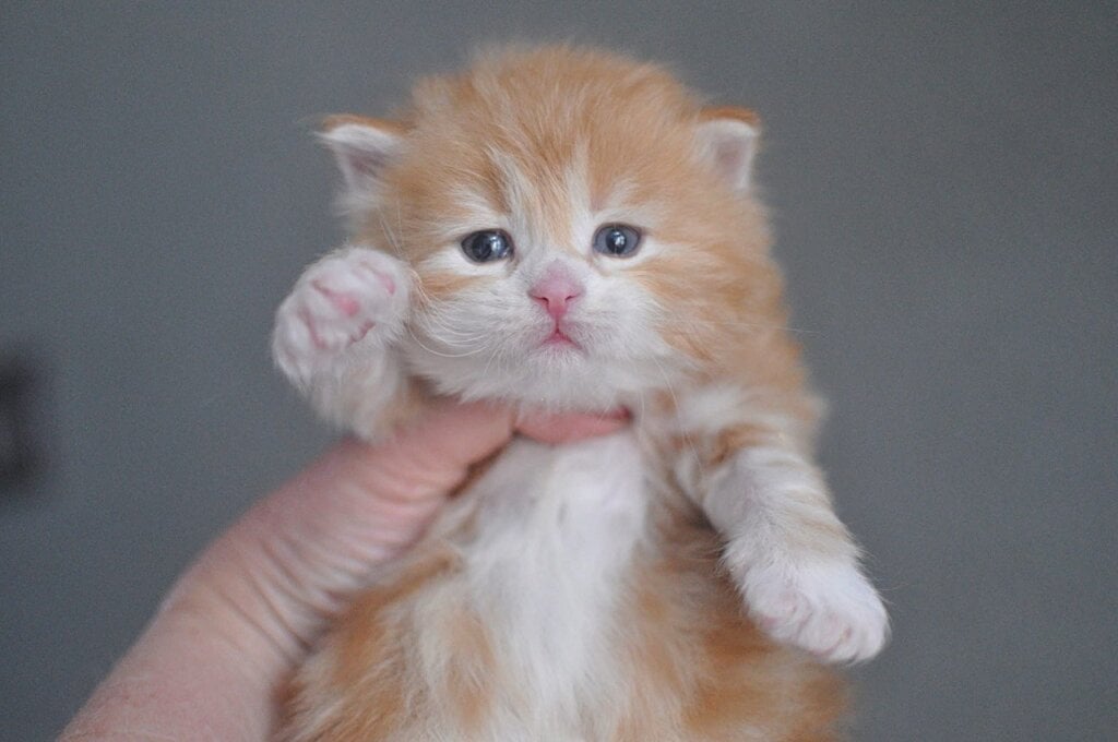 Photo 2026 04 13 16 54 17 2