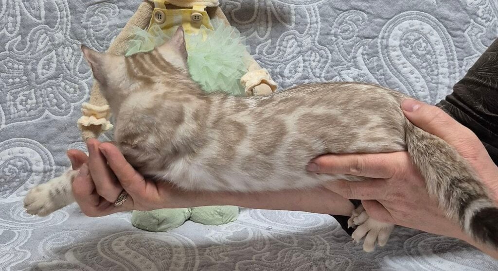 Photo 2026 04 13 17 54 09