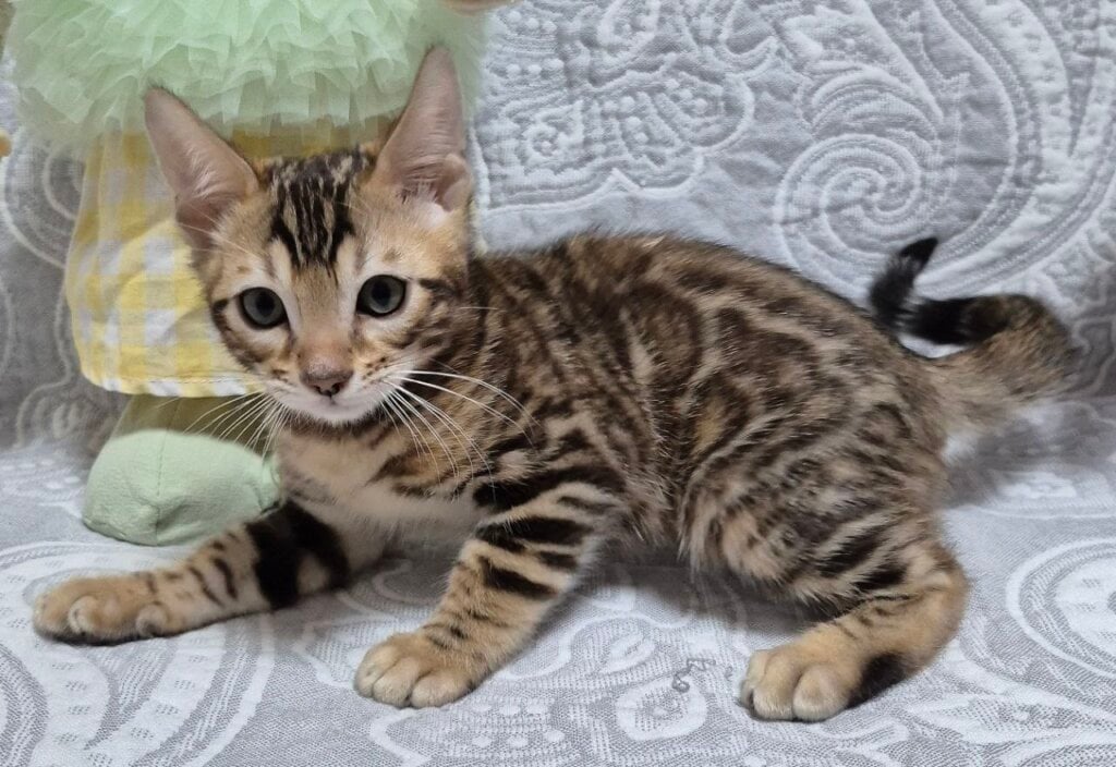 Photo 2026 04 13 17 59 53