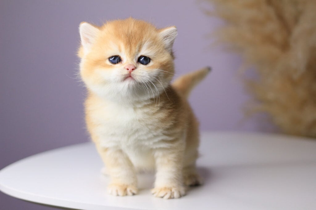 Photo 2026 04 13 18 06 01 2