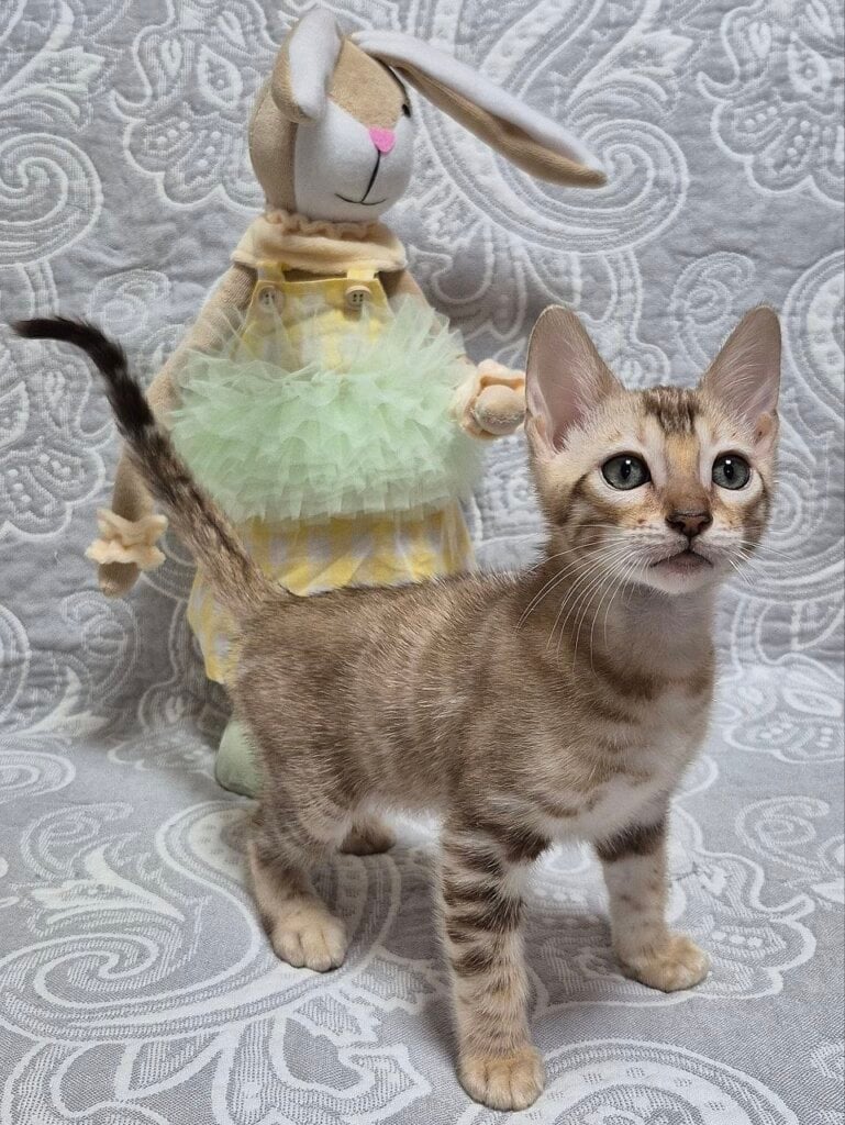 Photo 2026 04 13 18 08 48 2