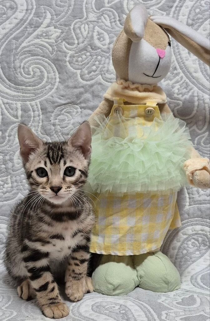 Photo 2026 04 13 18 11 54