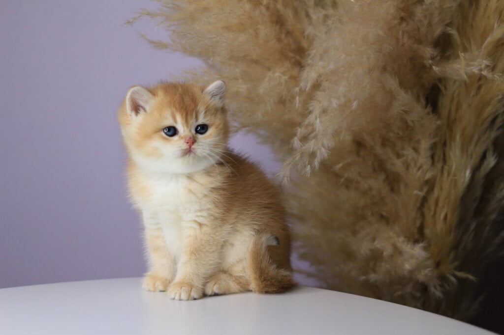 Photo 2026 04 13 19 15 40