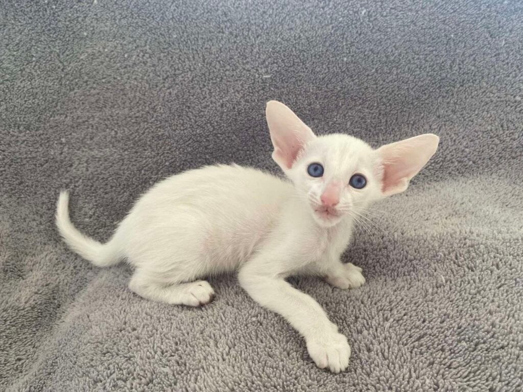 Photo 2026 04 14 00 24 44 2