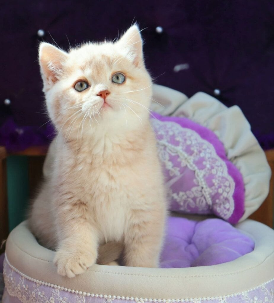 Photo 2026 04 14 09 08 10 2