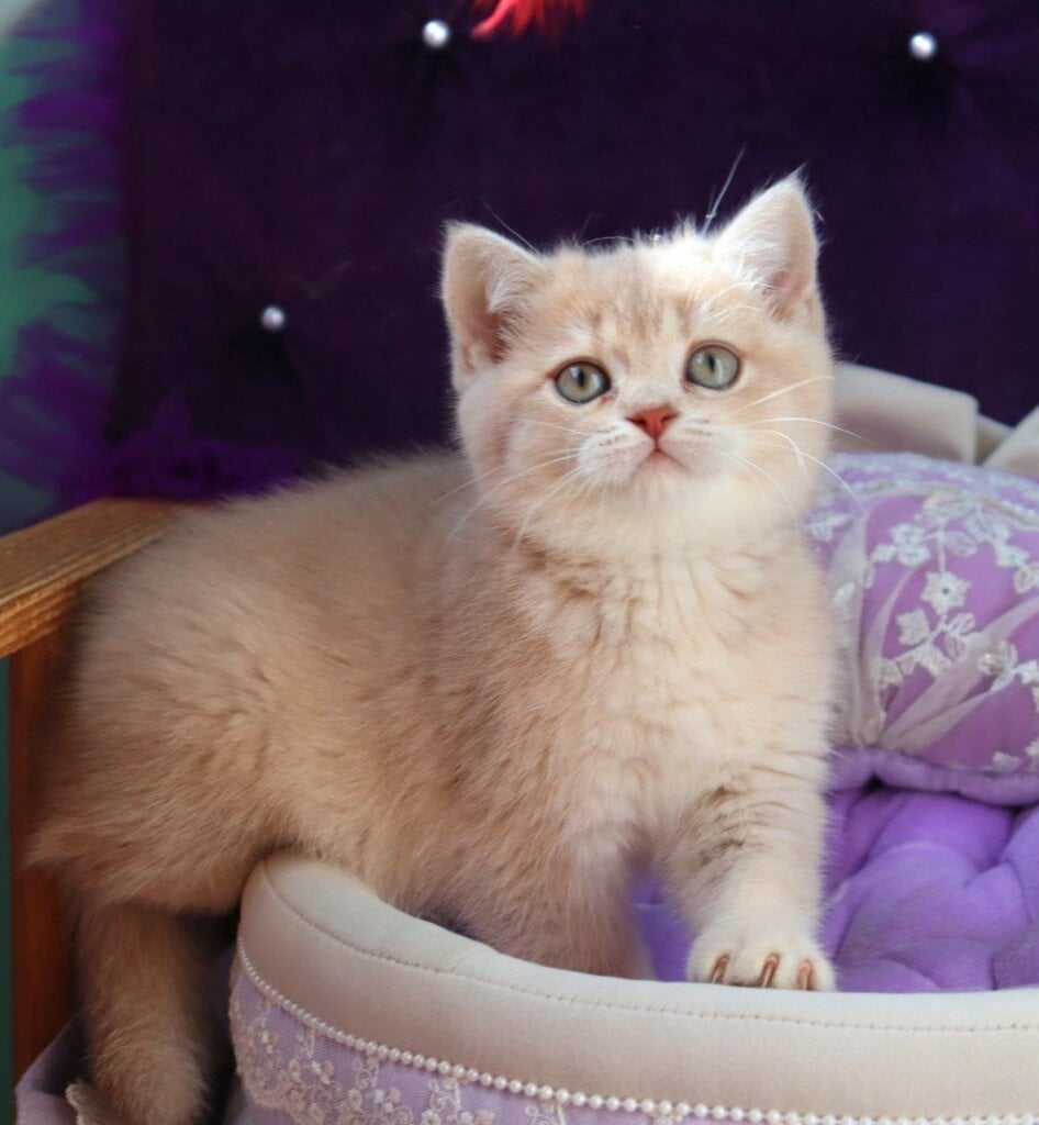 Photo 2026 04 14 09 11 37 2