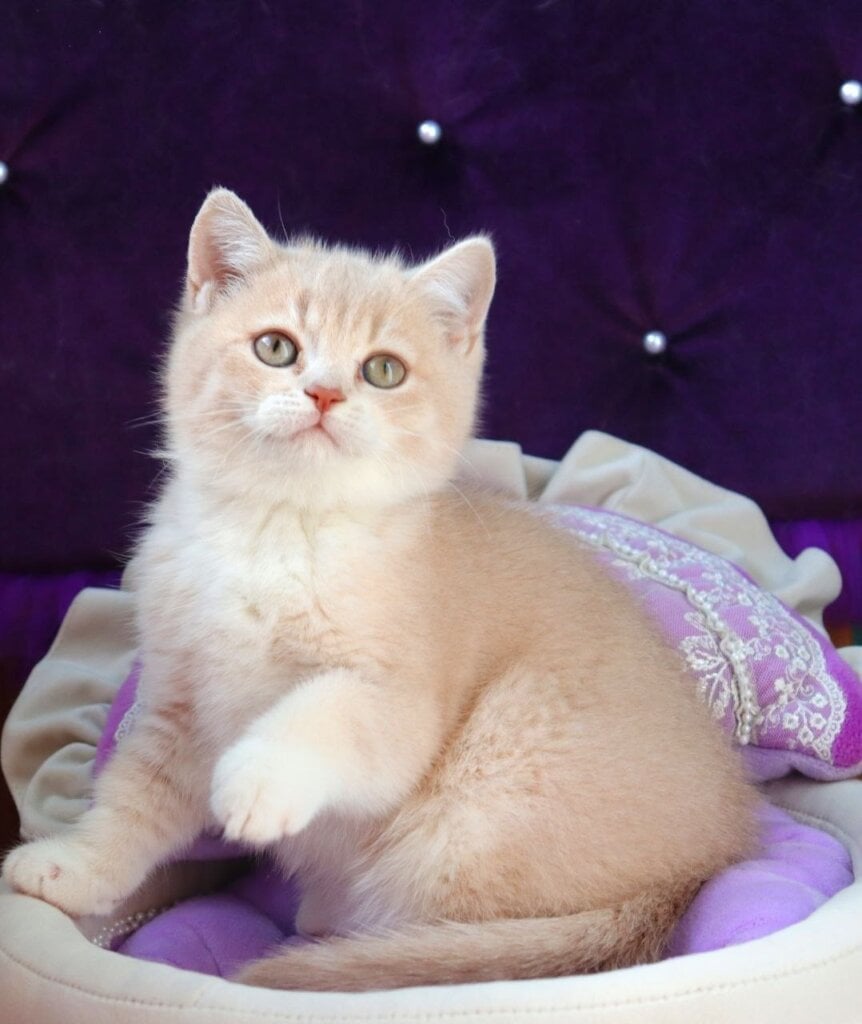 Photo 2026 04 14 09 14 05 2