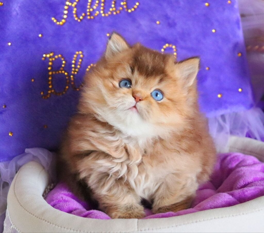 Photo 2026 04 14 09 35 48