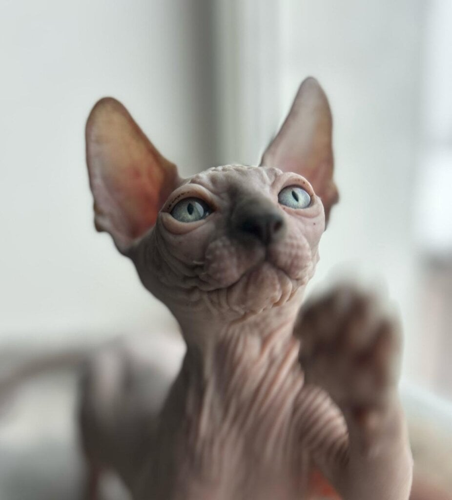 Photo 2026 04 14 20 42 37