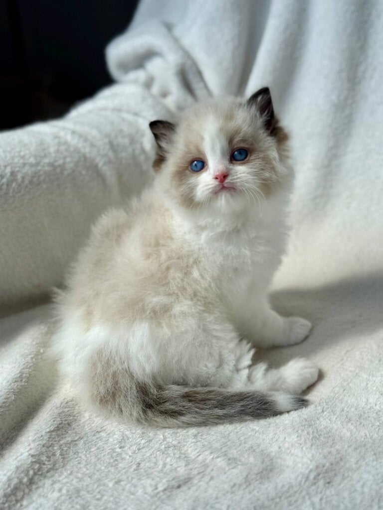 Photo 2026 04 14 20 43 46