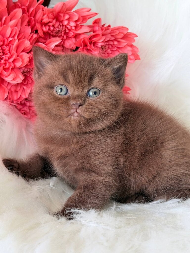 Photo 2026 04 14 21 01 55