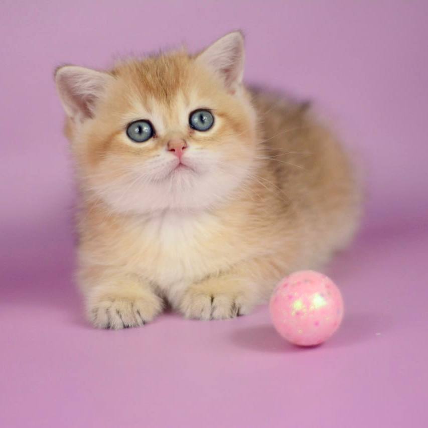 Photo 2026 04 15 15 29 37