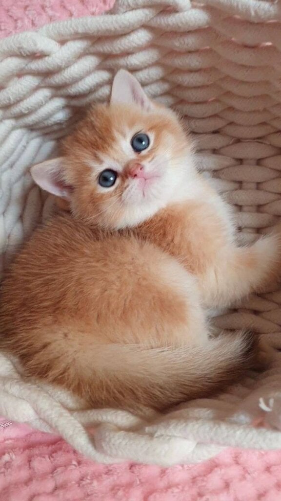 Photo 2026 04 15 15 31 19 3