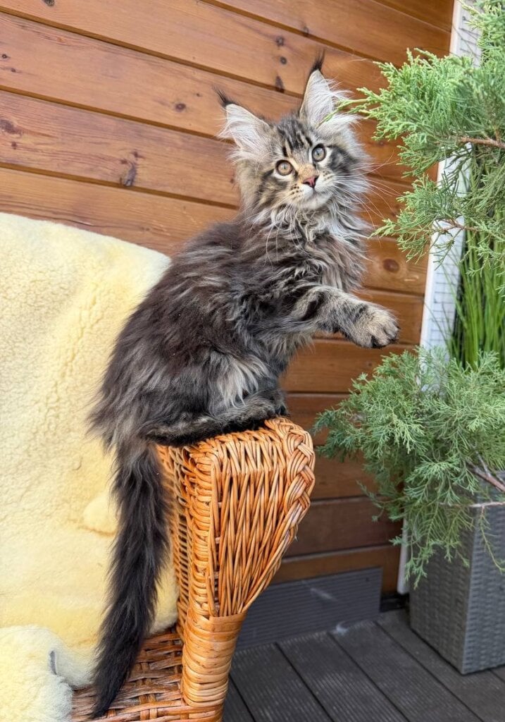 Photo 2026 04 15 17 59 38