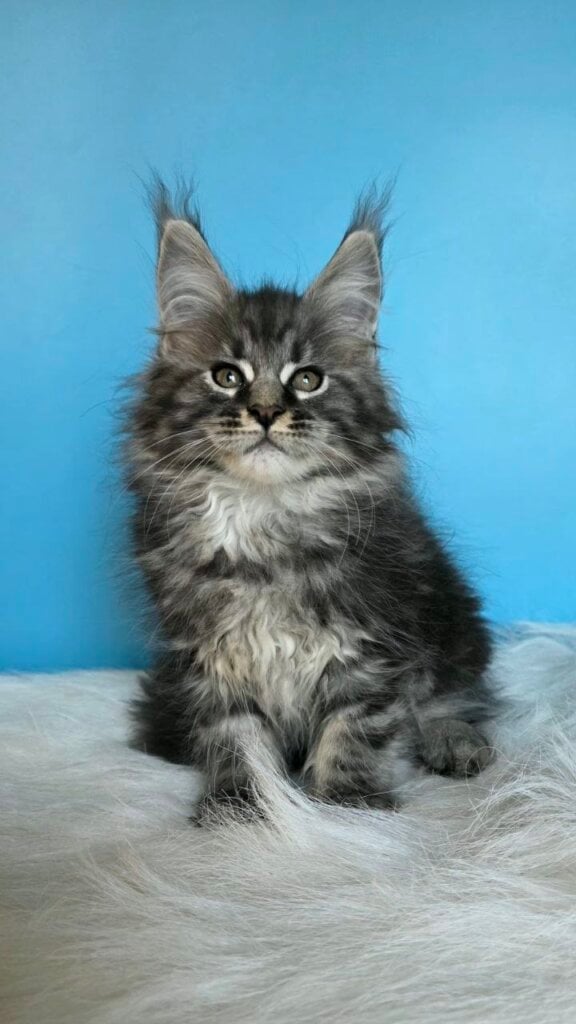 Photo 2026 04 15 18 30 35