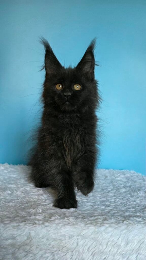 Photo 2026 04 15 18 37 08 3